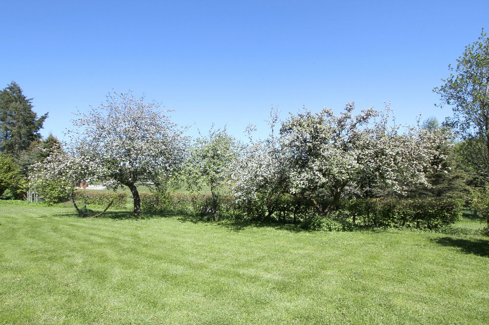 Teilansicht des weitläufigen Gartens - EIFEL MAKLER