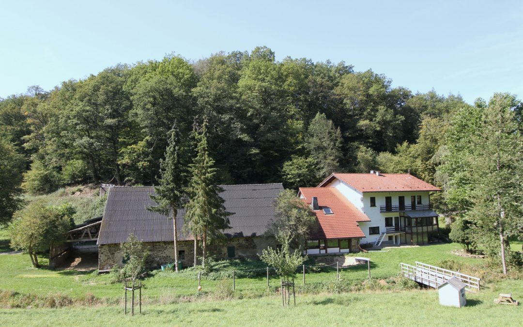 malerisch gelegene historische Kottenborner Mühle mit 5,9 Hektar Land im idyllischen Wirftbachtal