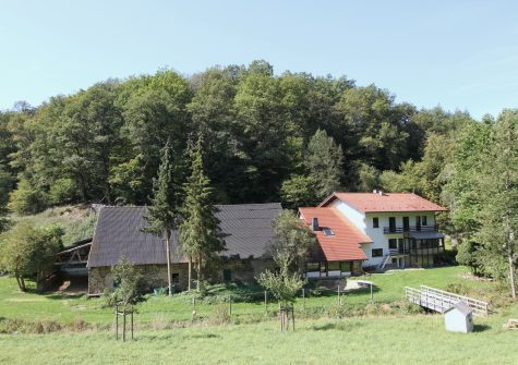 malerisch gelegene historische Kottenborner Mühle mit 5,9 Hektar Land im idyllischen Wirftbachtal