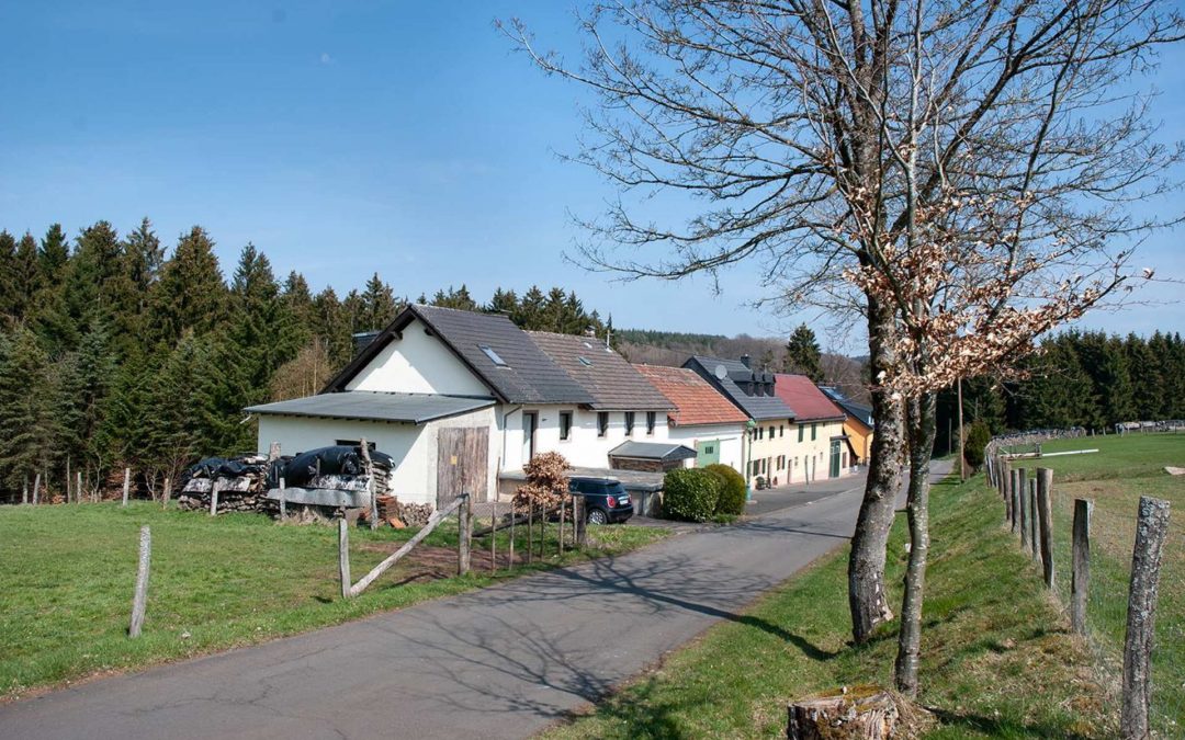 **Natur pur** früheres Bauernhaus mit Scheune, Anbau und großem Grundstück in abgelegenem Weiler